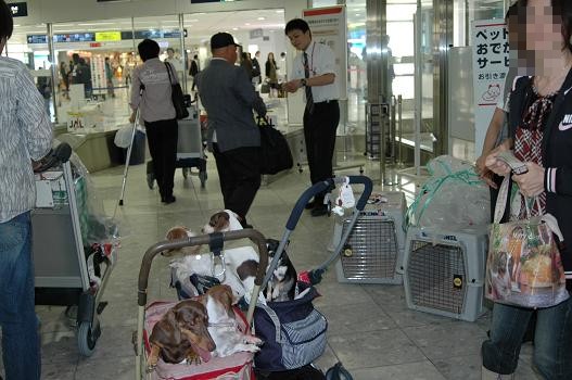福岡空港