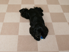 IMG_05210005.jpg