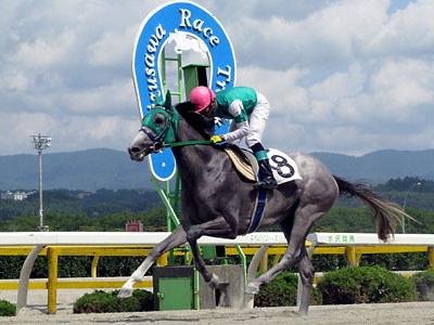 岩手】2008年度岩手競馬年度代表馬は“ワタリシンセイキ”に