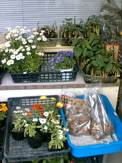 070504_1612~03.JPG
