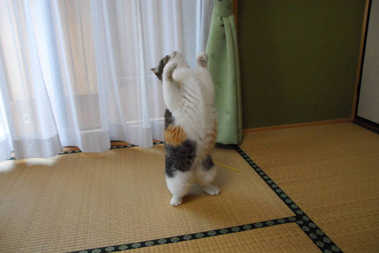 pict0015.jpg