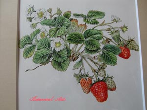 337  いちごのボタニカルアート 布でつくるみつろうラップ 布地みつろうセット | キット