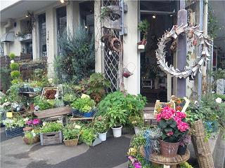 とっても素敵な花屋さん ボタニーク 吉祥寺で見つけましたぁ れみ れなのママの ハンドメイド インテリア ブログ 楽天ブログ