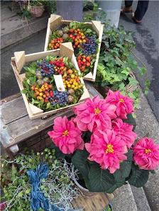 とっても素敵な花屋さん ボタニーク 吉祥寺で見つけましたぁ れみ れなのママの ハンドメイド インテリア ブログ 楽天ブログ