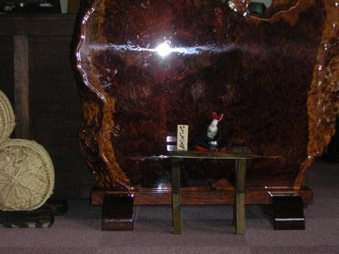 DSCN0833.JPG