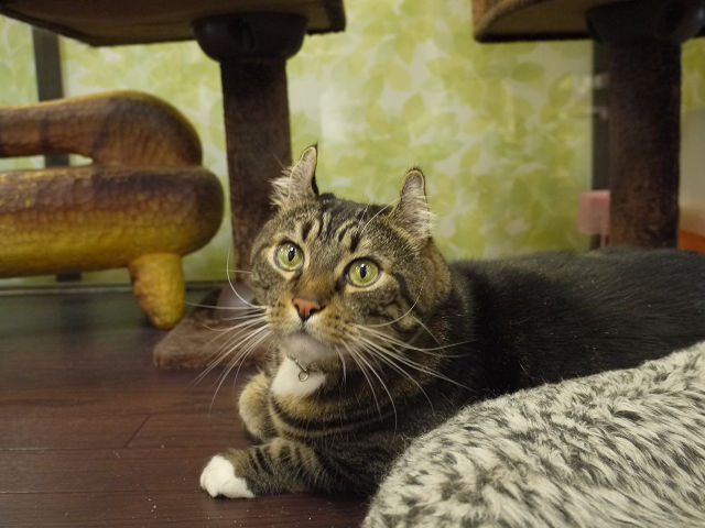 P1080546.jpg