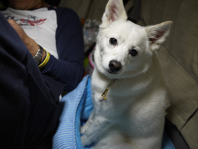 P1070733.jpg