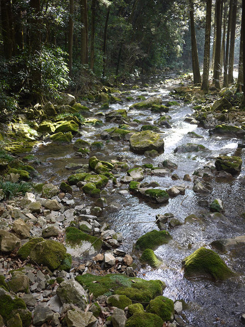 P1090057.jpg