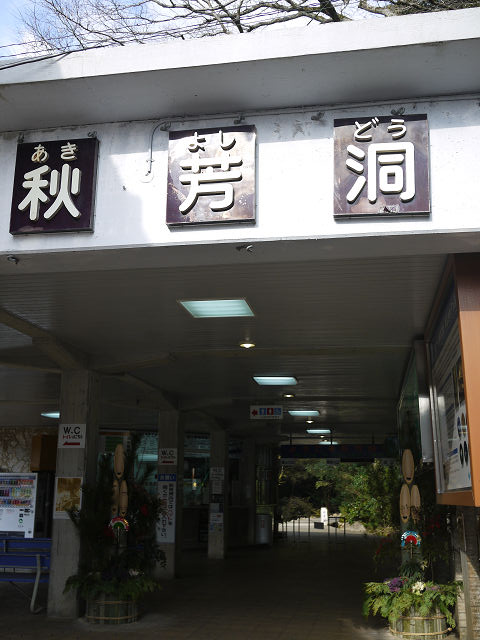 P1090059.jpg