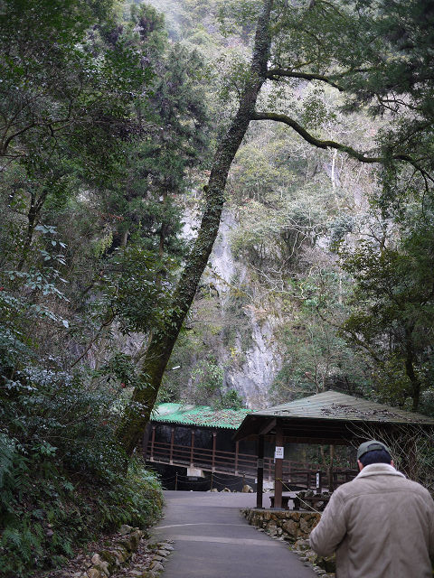 P1090023.jpg