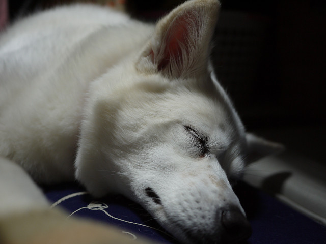 P1070829.jpg