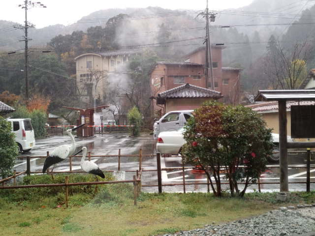 CA3H0183.jpg