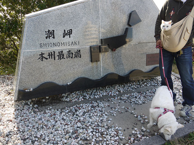 P1080295.jpg