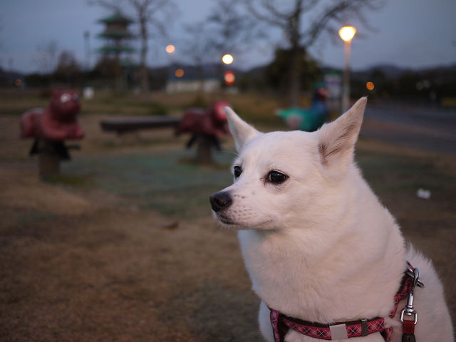 P1080517.jpg