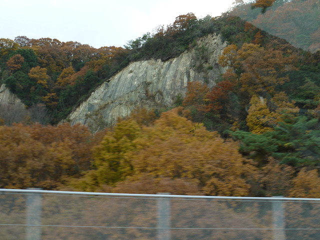 P1080009.jpg