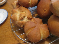 IMG_1004_1.JPG