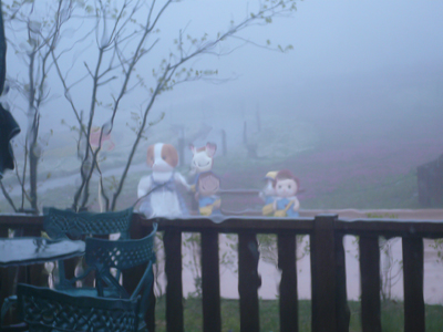 P1110364.JPG