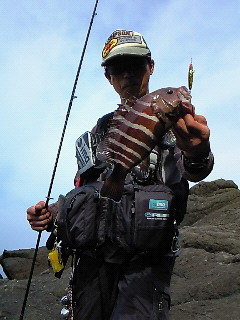 マハタ.JPG