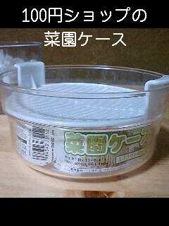 100円ショップの菜園ケースで かいわれ大根を栽培 道楽猫 楽天ブログ