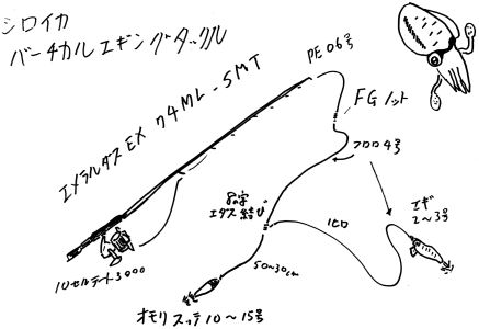 いまどきのシロイカ狙いバーチカルエギングタックル Power Skill 楽天ブログ