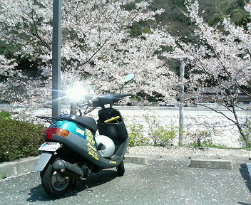 20.4.12.jpg