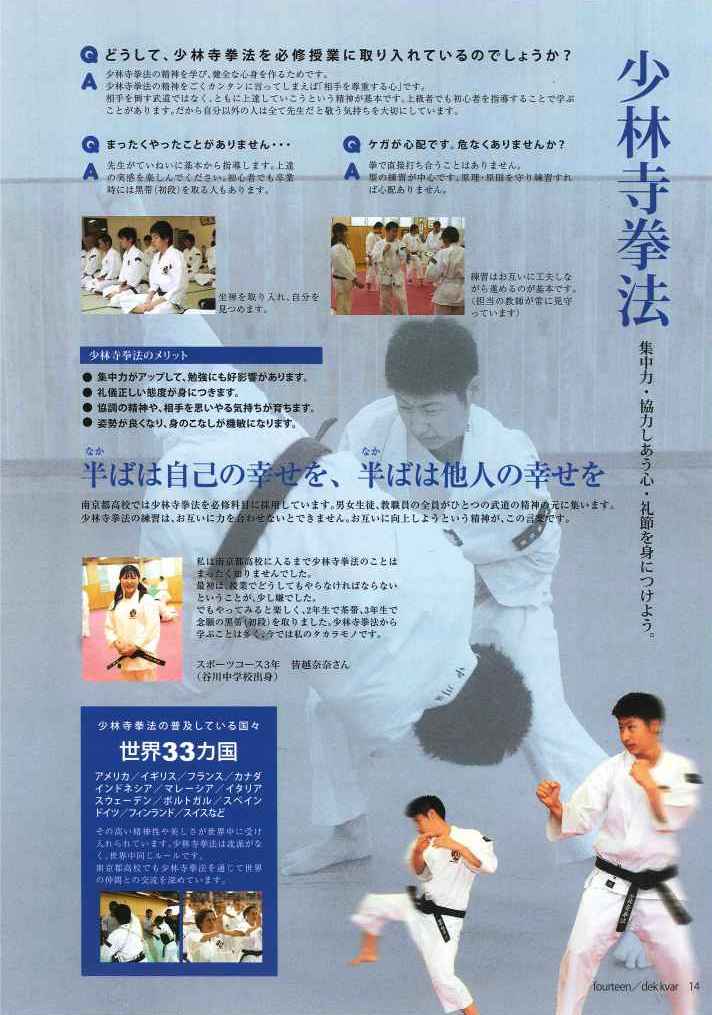 DVD 少林寺拳法 「大いなる遺産2未来への宝物」セット - DVD