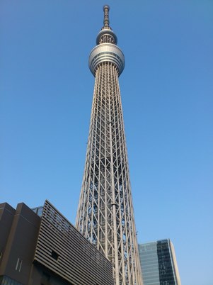 t01.JPG