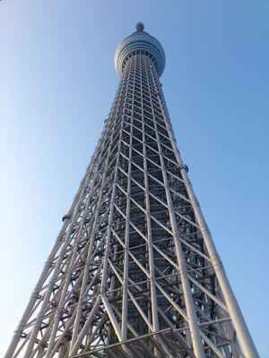t02.JPG