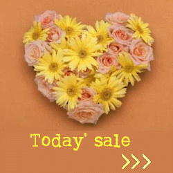 Today’　sale.gif