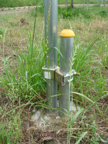 自作のキウイ棚完成 おもしろ園芸館 果樹栽培日記 楽天ブログ