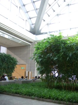 DSCF6806.JPG