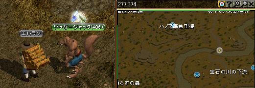 エルラン.JPG