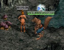 マレラ.JPG