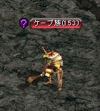 ケープ族.JPG