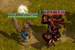 リトルエント.JPG