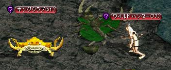 キングクラブ・ワイルドハンター.JPG