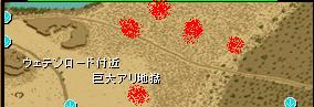 ドライミイラ沸き場所.JPG