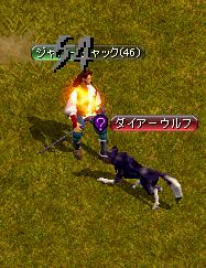 ダイアーウルフ.JPG