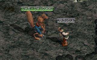 ストラッシュ.JPG