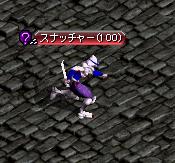 スナッチャー.JPG