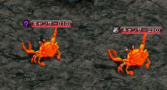キャンサー.JPG
