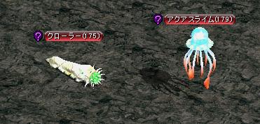ミ:水母と芋虫.JPG