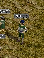最初は一番大きいちびっこ.JPG