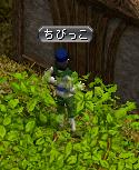 2番目は隠れているちびっこ.JPG