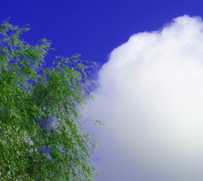 房総の里の青空