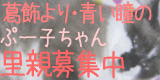 pooooko3.gif