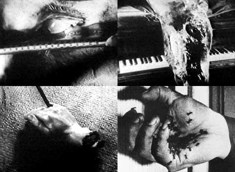 タクシデルミア ある剥製師の遺言』パールフィ・ジョルジ監督