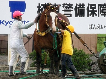 帯広・たべものや慎之介（ばんえい競馬とあわせてどうぞ） | 空と猫と