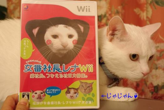 白 フリル付 Wii 女番社長レナWii - crumiller.com