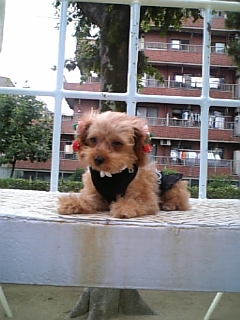 2006-07-02 21:05:55
